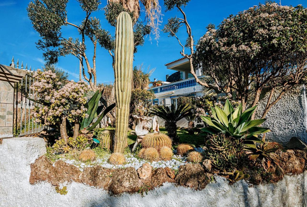 Appartamenti Ischia Casa Don Peppe Forio di Ischia Exteriör bild